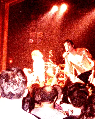 Black Flag Garden Grove
