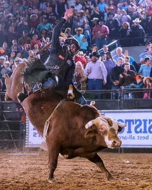 Bull Riding Victorville