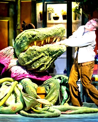 Little Shop Of Horrors