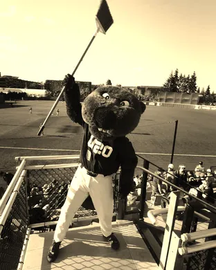 Oregon State Beavers Baseball Long Beach
