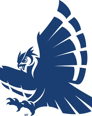 Rice Owls Houston