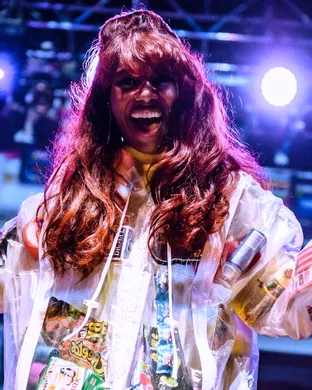 Santigold Pomona