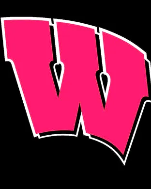 Wisconsin Badgers Football Pasadena