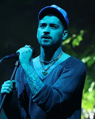 Zayn Anaheim
